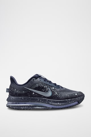 Nike Pegasus Premium SE - Noir et argenté