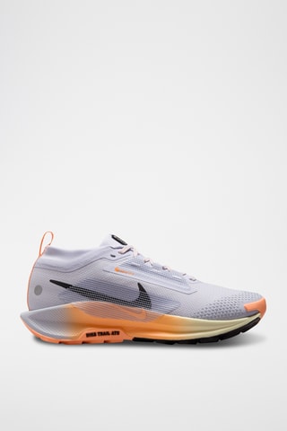 Nike Pegasus Trail 5 GORE-TEX - Gris clair