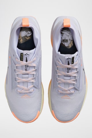 Nike Pegasus Trail 5 GORE-TEX - Gris clair