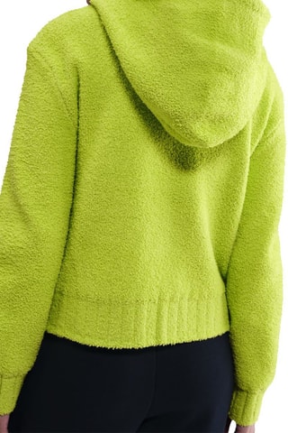Sweat à capuche Phoenix - Vert clair