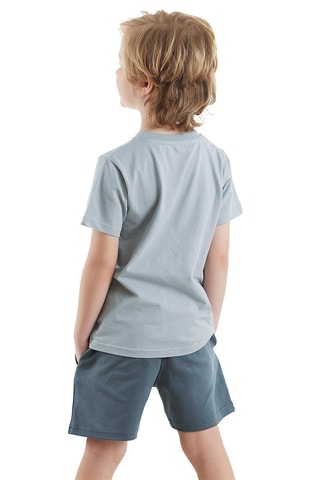 Camiseta y short - Azul y gris