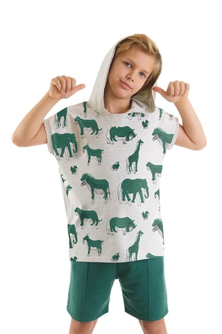 Camiseta y short - Gris y caqui