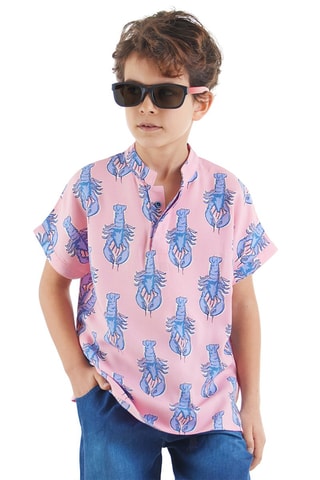 Camisa - Azul y rosa