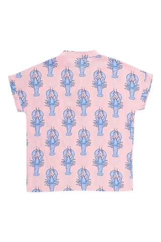 Camisa - Azul y rosa