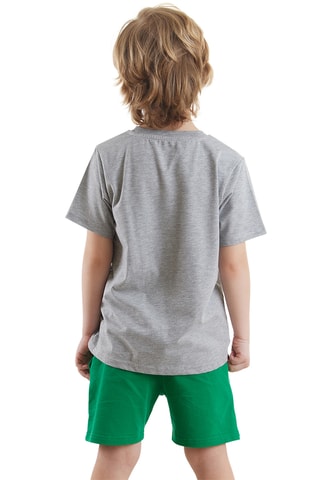 Camiseta y short Croco - Gris y verde
