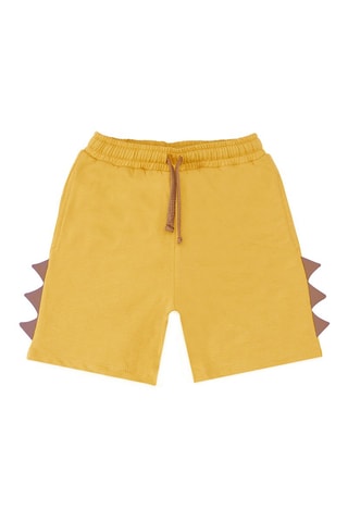 T-shirt en Short -  Denokids - Bruin en mosterdgeel