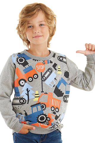 Sudadera Vehicles - Gris