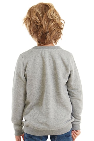 Sudadera Vehicles - Gris