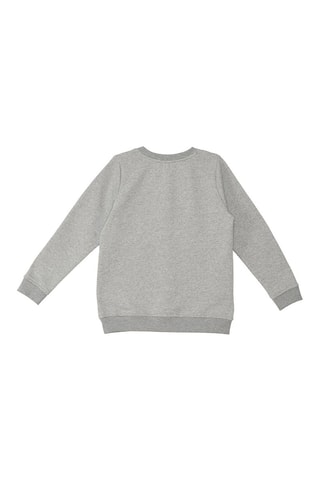 Sudadera Vehicles - Gris