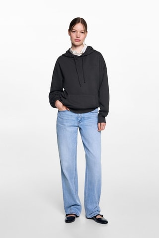 Sweat-shirt capuche broderie - Gris