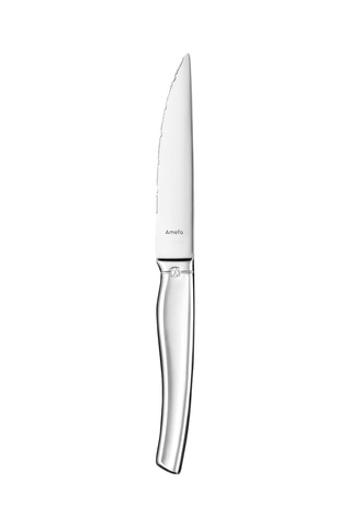 6 Roestvrijstalen Steakmessen Goliath - 25 cm
