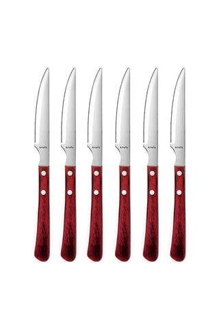 6 Roestvrijstalen Steakmessen Brasero - 24 cm