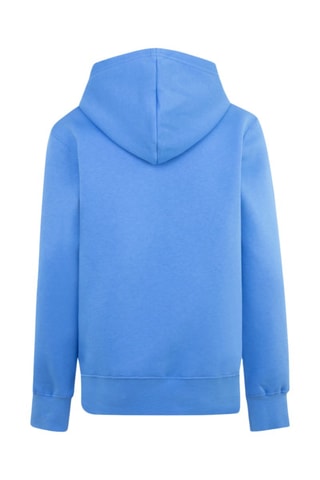 Sweat molletonné à capuche Brooklyn - Jordan - Blanc et bleu