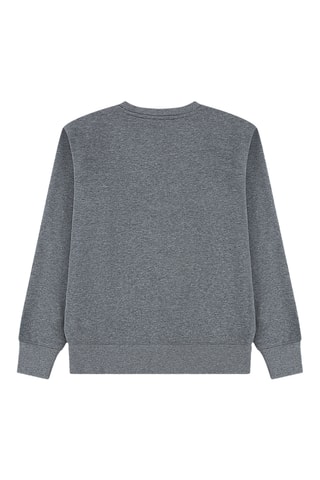Sweat Crew - Jordan - Gris