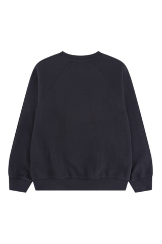 Sweat Paris Saint-Germain - Jordan - Gris