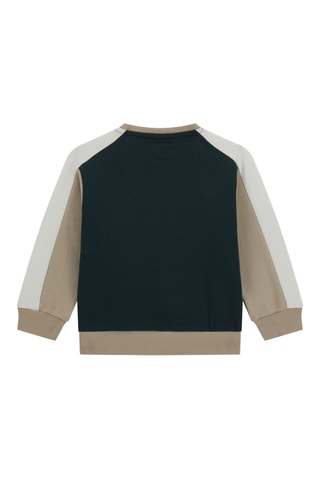 Sweat - Beige et vert foncé