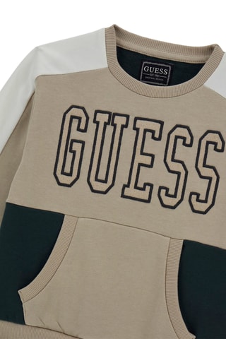 Sweat - Beige et vert foncé