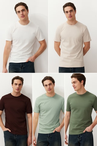 5 t-shirts Cinzento-claro e bordô - Verde-claro e multicor