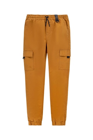 Broek - Bruin