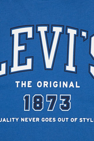 T-shirt - Wit en blauw