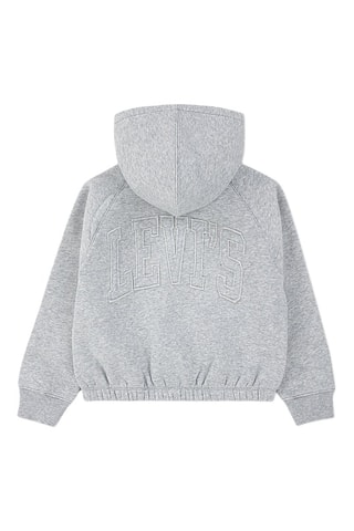 Sweater met Capuchon - Grijs