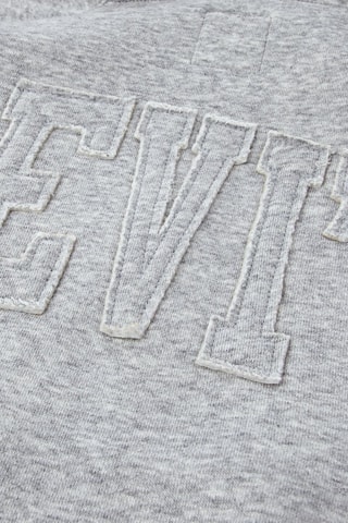 Sweater met Capuchon - Grijs