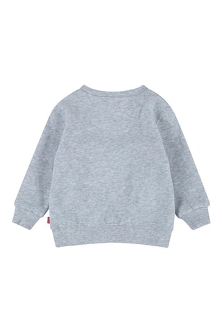 Sweater - Grijs