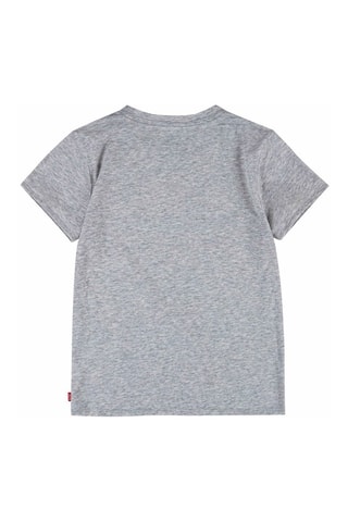 T-shirt - Grijs