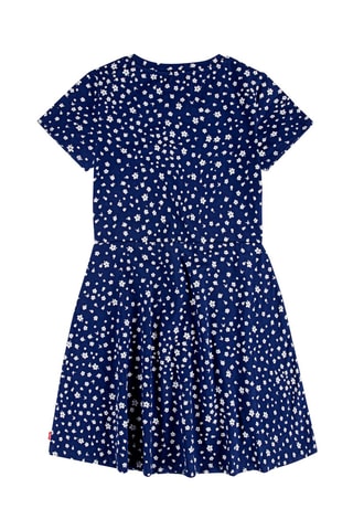 Jurk - Wit, rood en blauw