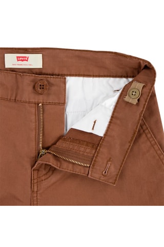 Short - Bruin