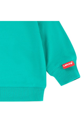 Sweater - Groen