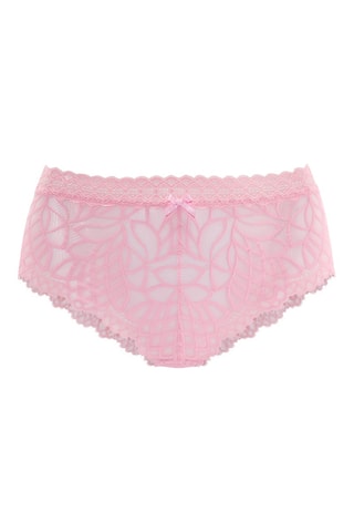 Shorty Cara - Rosa - Lascana