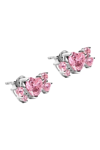 Puces - Zircons