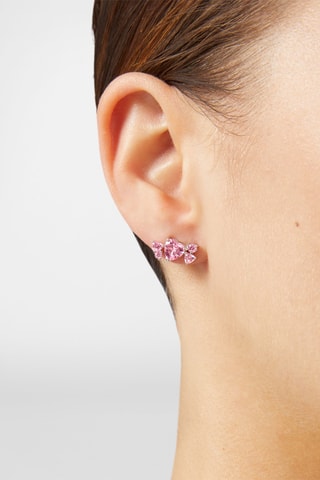 Puces - Zircons