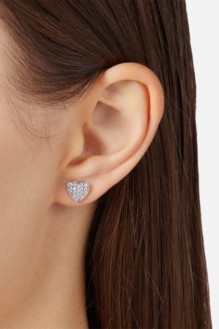 Puces - Argent