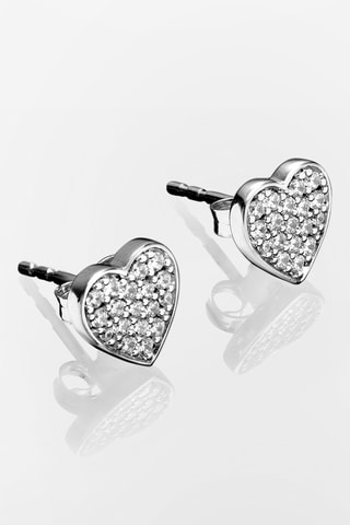 Puces - Argent