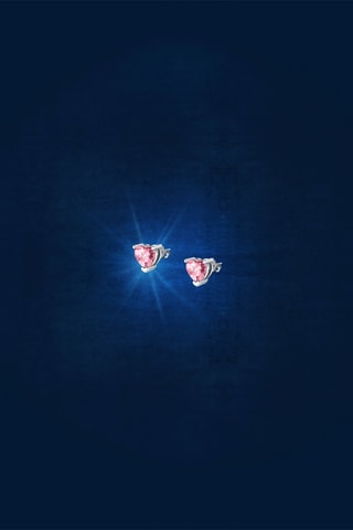 Puces - Rose