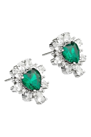 Puces - Zircons