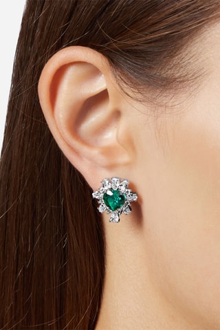 Puces - Zircons