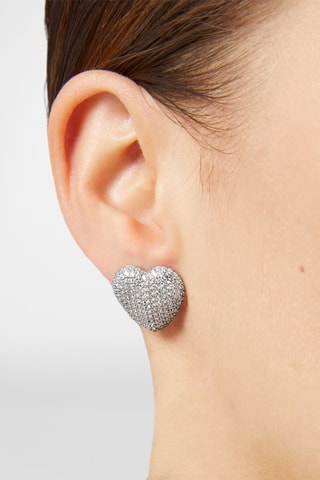 Puces - Zircons