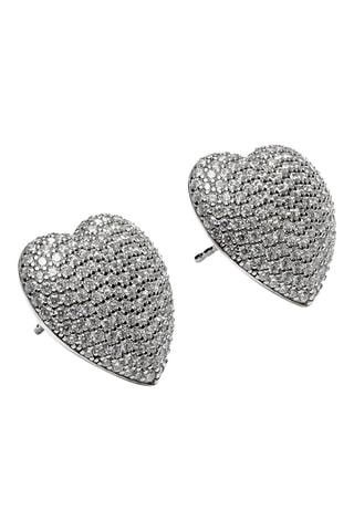 Puces - Zircons