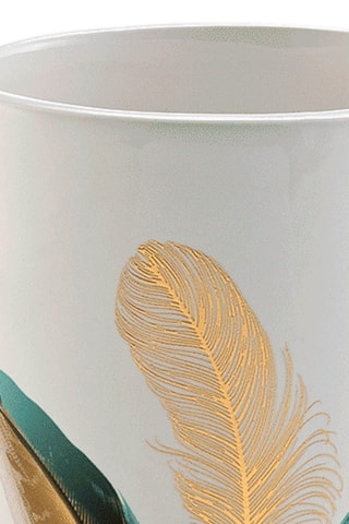 Verre en céramique Plumiss