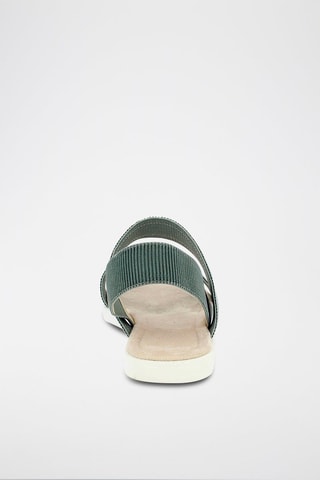 Sandalias Harbour - Verde