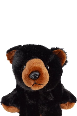 Peluche ours