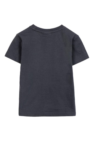 T-shirt Spider-Man Avengers Marvel - Grigio