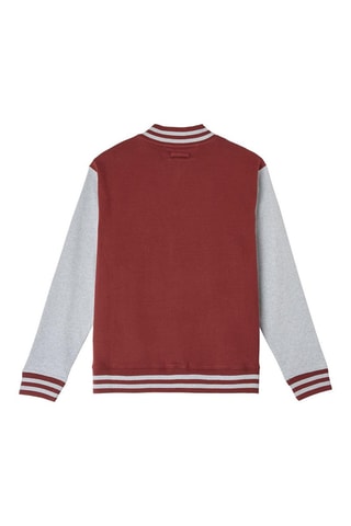Giubotto Harry Potter - Rosso e grigio