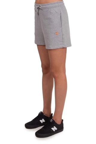 Shorts - Grigio chiaro melange - Dickies