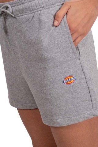 Shorts - Grigio chiaro melange - Dickies