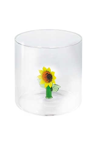 Borosilicaatglazen Waterglas - 25 cl