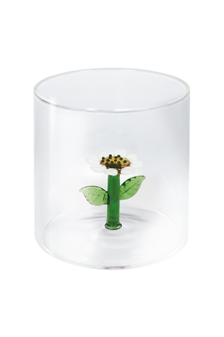 Borosilicaatglazen Waterglas - 25 cl